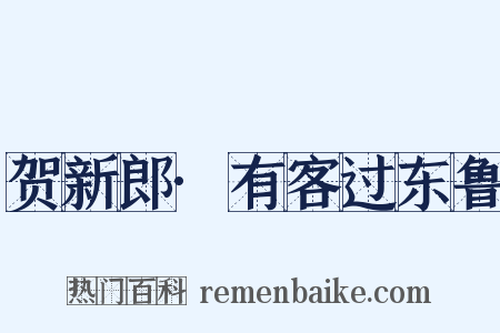 贺新郎·有客过东鲁是什么意思的图片